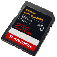 Карта памяти SanDisk 256GB Extreme PRO SDXC UHS-II V60 (SDSDXEM-256G-GN4IN)- фото2