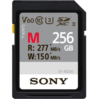Карта памяти Sony 256Gb SF-M Series (SFG2M)