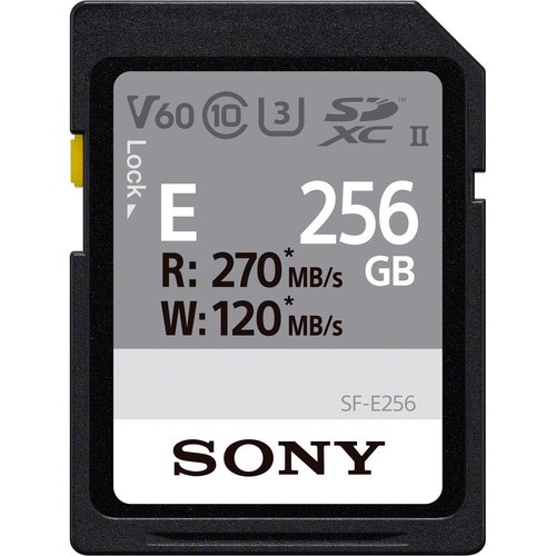 Карта памяти Sony 256Gb SF-E Series (SF-E256) - фото